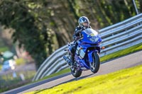 Oulton-Park-20th-March-2020;PJ-Motorsport-Photography-2020;anglesey;brands-hatch;cadwell-park;croft;donington-park;enduro-digital-images;event-digital-images;eventdigitalimages;mallory;no-limits;oulton-park;peter-wileman-photography;racing-digital-images;silverstone;snetterton;trackday-digital-images;trackday-photos;vmcc-banbury-run;welsh-2-day-enduro